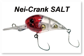 Nei-Crank　SALT