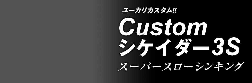 Customシケイダー3S